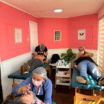 WhatsApp Image 2026-03-03 at 12.42.32 (1)